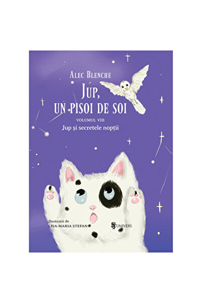 UNIVERS Jup, un pisoi de soi – volumul VIII – Jup si secretele noptii