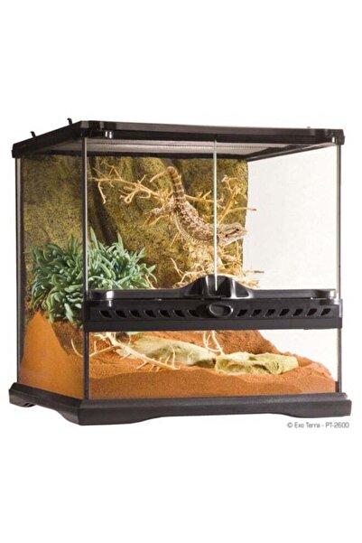 Exo Terra Natural Terrarium Mini and Wide 30 x 30 x 30 cm
