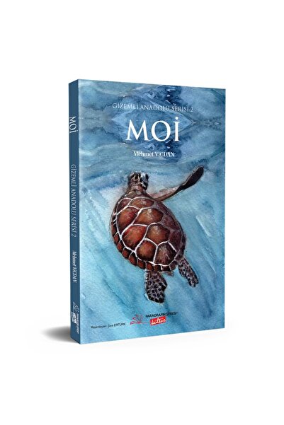 Paragrafın Şifresi Yayınları MOİ Türk Edebiyatı