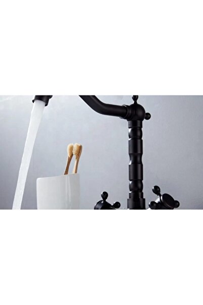 Trendy's Antique Black Swan Faucet