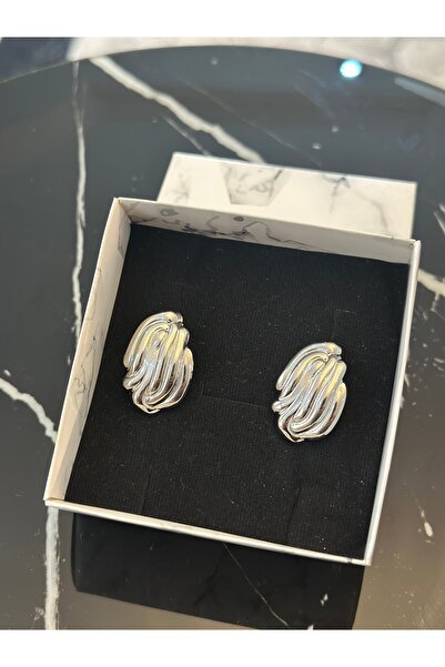 Menshure Silver Wave Model Steel Earrings