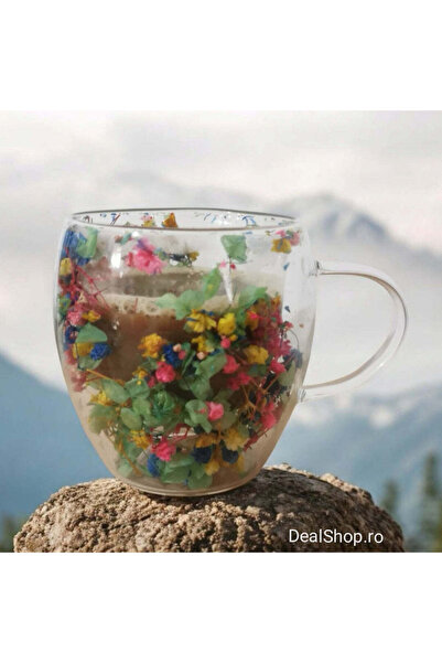 dealshopromania Set 12 cești cafea Pereti Dubli Sticla Termorezistenta, Model Flori Uscate, 250 ml