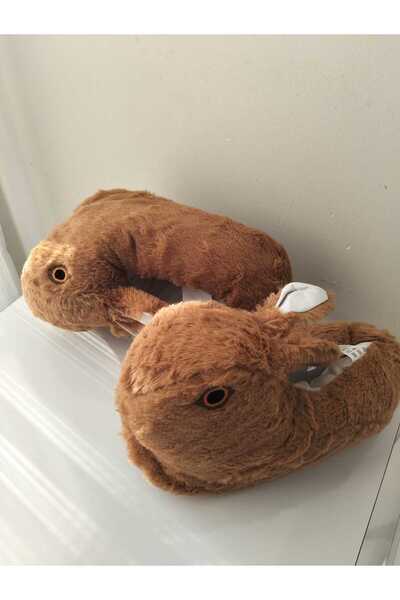 Lion Κουνέλι που κρατά τα πόδια ζεστά