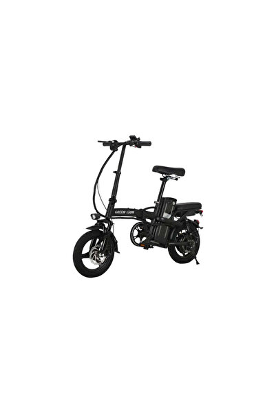 Green Lion GBK-100 Electric Bike - Black