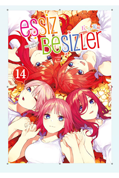 Gerekli Şeyler Eşsiz Beşizler 14.Cilt