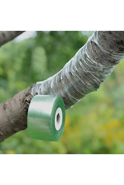 MaffStuff Transparent Grafting Tape 2 cm × 100 m – Fruit Trees