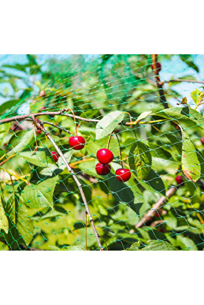 G Glixicom Protective Net for Fruit Trees and Plants Against Birds or Hail – 4 x 5 m