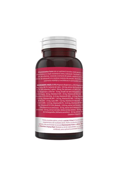 Faunus Plant Vitaminizantus Forte - Multivitamin & Mineral Capsules, 90 capsules