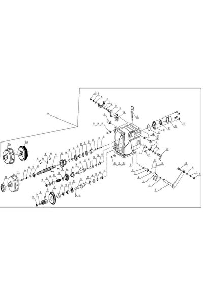 RURIS Cutie de viteze pentru motorul cultivatorului 1001ksd, 1002ksd