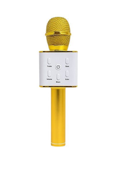 OEM Microfon wireless Gold Karaoke Boxă Bluetooth HIFI – Funcții de înregistr...