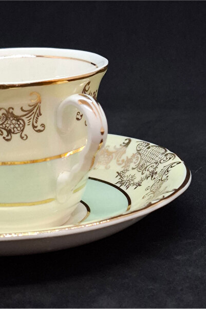 ABBETC Midwinter Porcelon Burslem English Vintage Coffee/Tea Cup and Saucer 150 ml