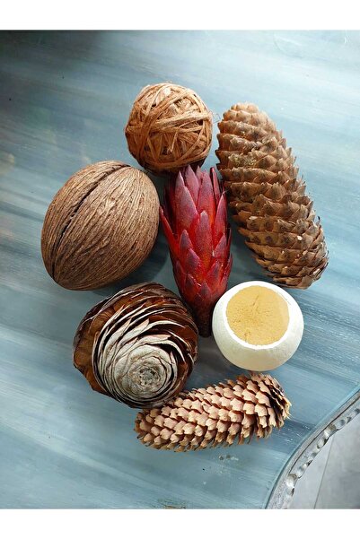 lolipophobi Dekoratif Kurutulmuş Obje Set 2, Ev Dekorasyon, Masa Dekorasyon, ...