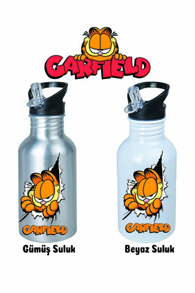 DKDZ SHOP Garfielddd Printed Metal Durable Water Bottle with Straw 600ml.