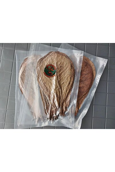 KAAZ DESIGN Akvaryum Catappa Yaprağı 20 Adet Small Boy (15-18 cm) Karides, Discus, Betta için