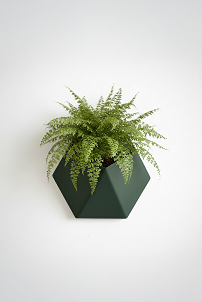 OEM Hexa Design wall planter, Forest Emerald color, geometric design, material -friendly