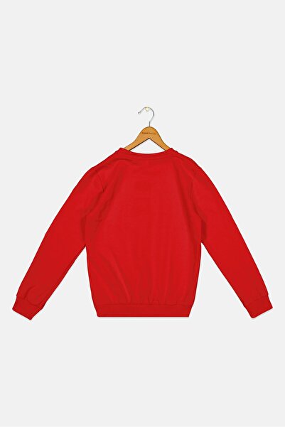 Marvel Kids Boy Crew Neck Graphic Print Long Sleeve Sweatshirts, Red