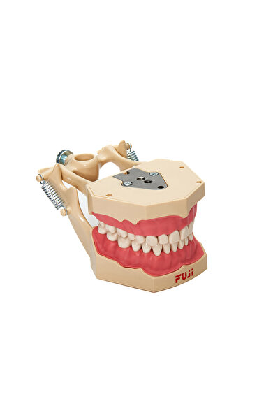 FANTOM ÇENE FUJİ / F32JAW 32'LİK DİŞ ETLİ ÇENE