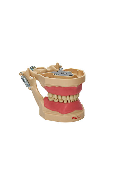 FANTOM ÇENE FUJİPEDO / FP24JAW PEDODONTİK DİŞ ETLİ ÇENE