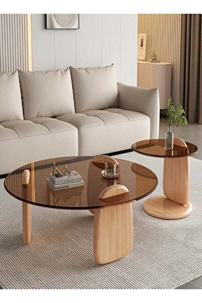 Raffine Nordic Living Room Coffee Table Set - Modern Luxury (Brown)