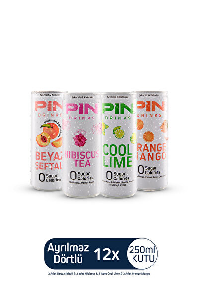 Pin Ayrılmaz Dörtlü Soğuk Çay Deneme Paketi 12 Adet 250ml Ice Tea