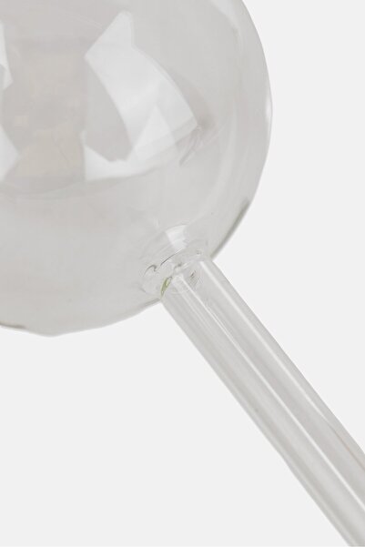 Muy Mucho Glass Self Watering Bubble, Transparent