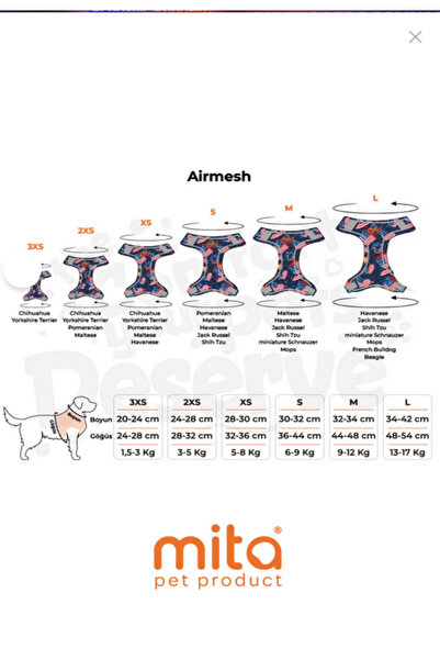 Mita Set of 12 Air Mesh m Breast Collar Design