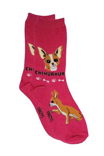 Foozys Chihuahua Printed Polyester Socks Size 9-11
