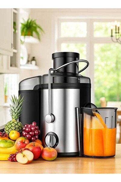 LC Electric Fruit & Vegetable Juicer 800W with 600ml Capacity
