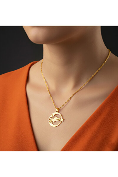 MODA 925 Ayar Gümüş Bozkurt Hilal Ay Yıldız Kolye Altın Kaplama Sarı Renk Türk Bayrağı Temalı Kadın Kolye