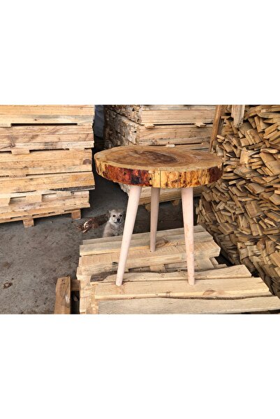 Orman Tasarım Kütük ahşap sehpa