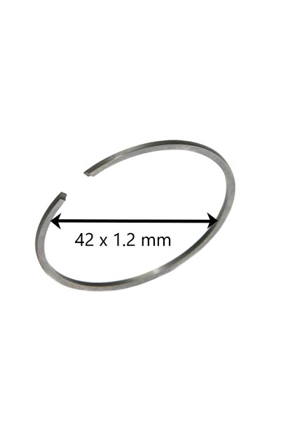 Powerx Segmenti 42 x 1.2 mm pentru drujba, motocoasa,