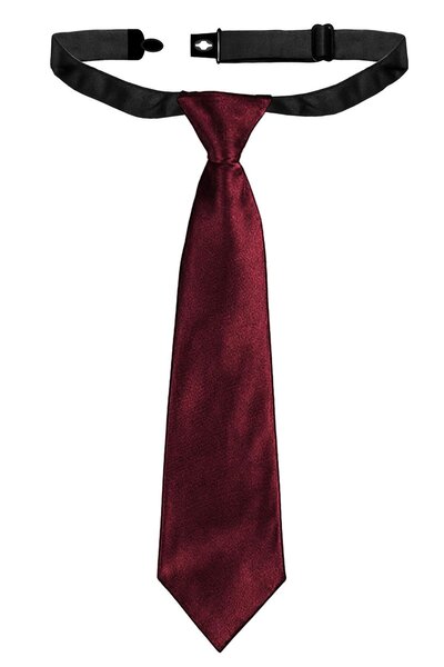 hapshoe Burgundy Adjustable Satin Children's Tie and Handkerchief Set