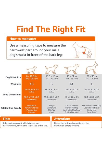 Amazon basics Male Dog Disposable Diapers, White, X-Small, 30 Count