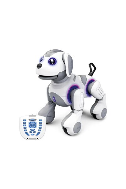 UZUNKAYA HOME Learning Fun Uzaktan Kumandalı Şarjlı Akıllı Programlanabilir Hareket Sensörlü Robot Köpek