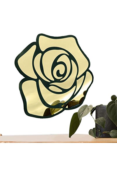 Slasa Modern Acrylic Decorative Wall Mirror for Living Room (27×30 cm)