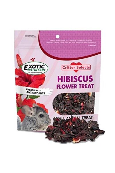 Exotic Nutrition Critter Selects Rose Hip Treats 3 oz