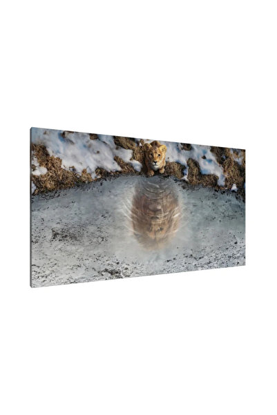 PozaTablou Tablou pe pânză: Reflecții ale Maiestății - 120x70 cm