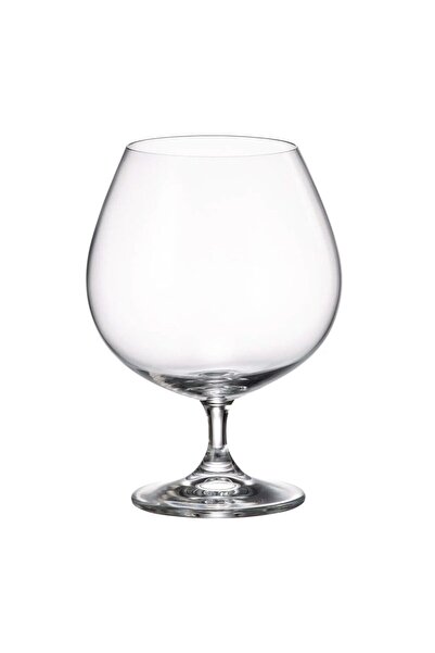 BOHEMİA CRYSTAL Set de 6 pahare de brandy Crystal Bohemia Colibri 690 ml tran...