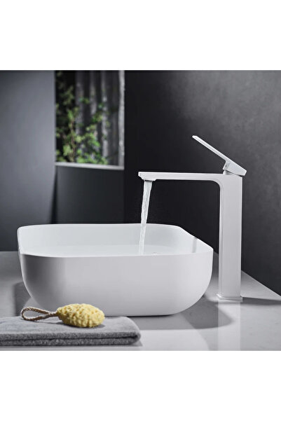 Trendy's Washbasin faucet with shower TRENDY S