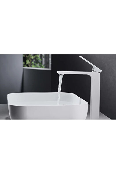 Trendy's Washbasin faucet with shower TRENDY S