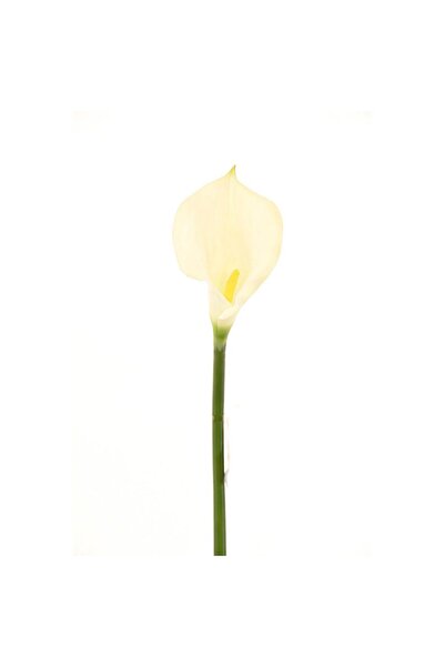 SUPERGREENS Artificial Calla Plant White 96 cm