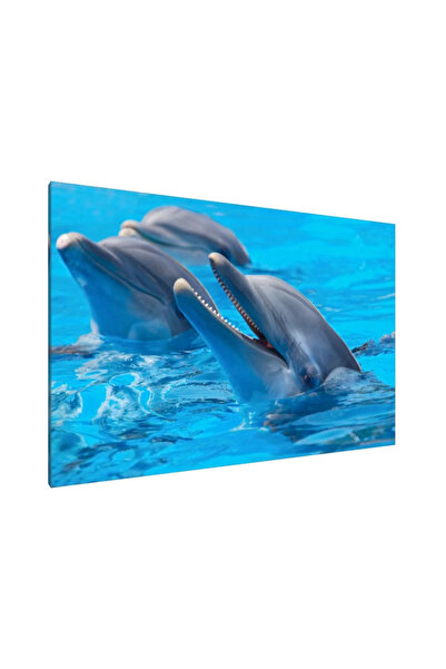PozaTablou Pictură pe pânză: Simfonia delfinilor 70x50 cm