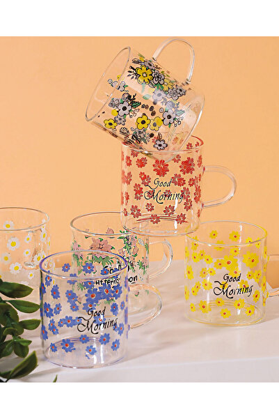 USTAOGLUHOME CAM FİNCAN 6 LI