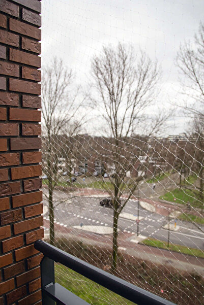 Beeztees SPTRNS Kedi Pencere veya Balkon Koruma Filesi, (210536) Şeffaf, 6x3m