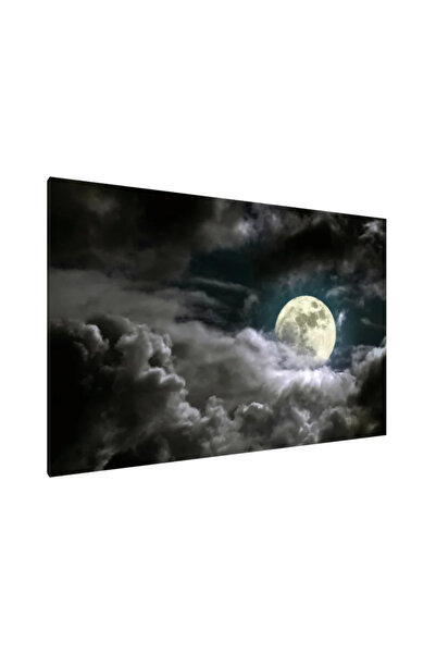PozaTablou Tablou pe pânză: Șoapta Lunii 100x70 cm