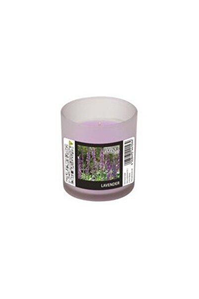 Gala Lumânare din sticlă cu parfum de lavandă, violet