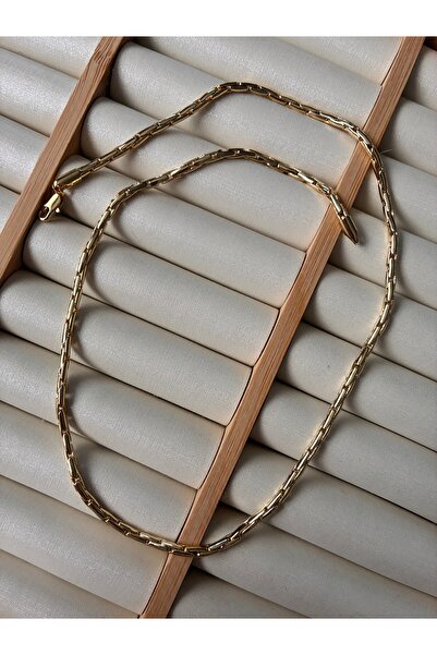 ARİ TAKI Snake Thin 50cm Gold Steel Necklace