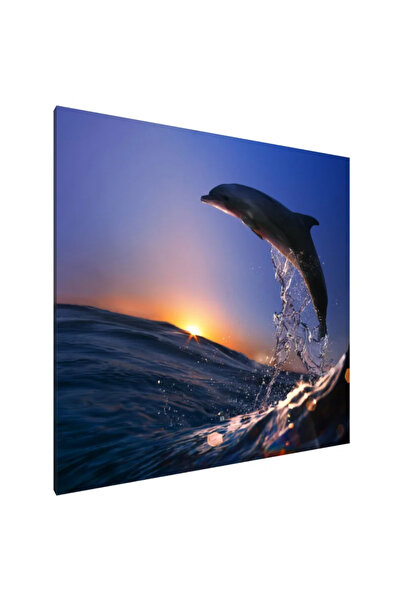 PozaTablou Tablou pe pânză: Apus de soare, salt, 80x80 cm