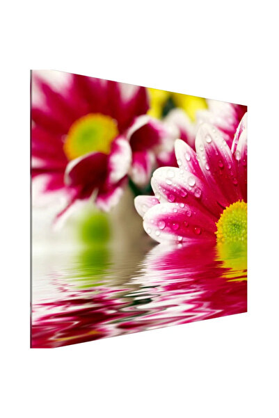 PozaTablou Pictură pe pânză: Petale de calm 70x70 cm