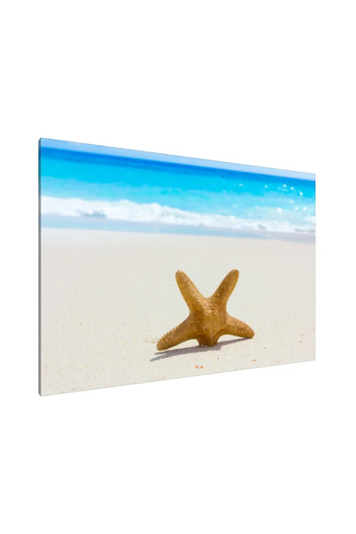 PozaTablou Tablou pe pânză: Stea pe țărm (70x50 cm)